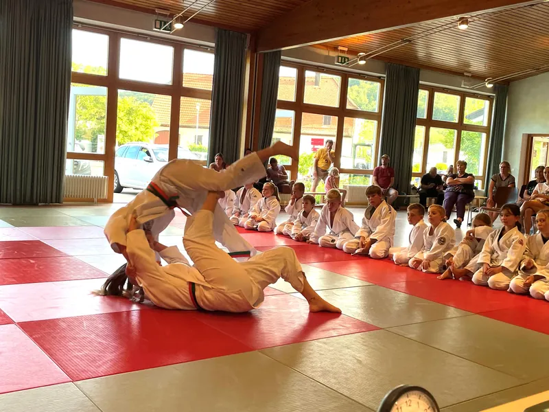 Bodenkampf beim Judo-Training